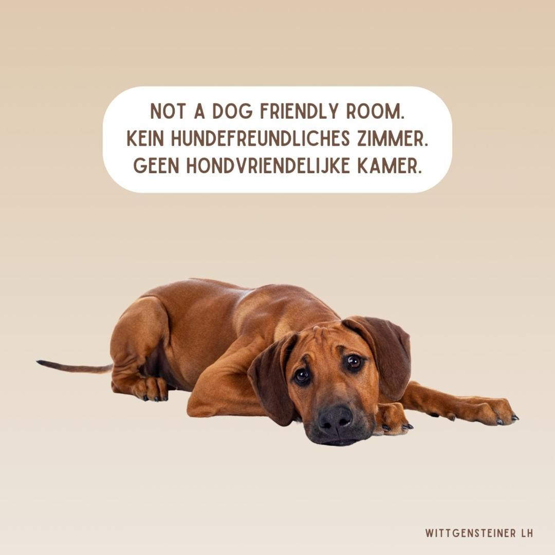 Landhotel Flora & Fauna (Adults Only) Winterberg Værelse billede